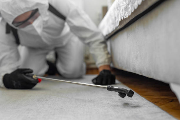 Professional Bed Bug Control technician working in Grafton, WV