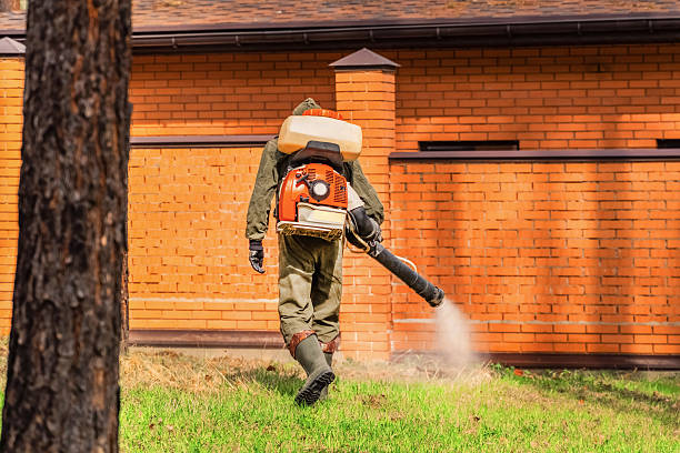 Trusted Ant Control service in Grafton, WV - Nex Pest Control